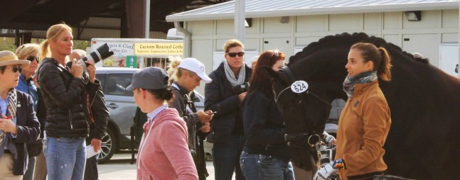 101 - Janine, Naima and Sancerre after jog (2)