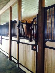 11903788_10153600729980972_1732213668362870638_n