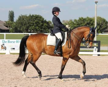 12671940_10153272154981990_7645624387698649844_o