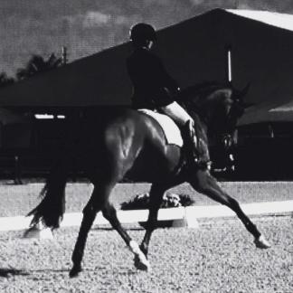 12729156_1275294542487979_7461040271525137010_n