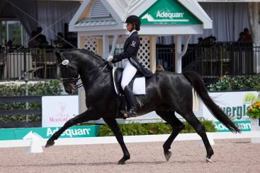 12779092_1149034648470460_4952730313331921585_o