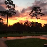 27 - Larisa's Sunrise