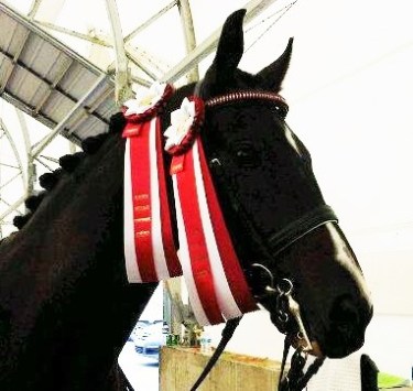 314 J Nico championships (3)