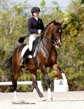 318 J Nico canter (3)