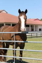 86 - Bono says hi from paddock