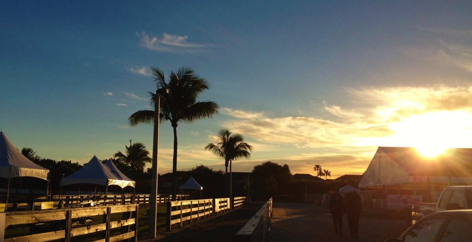 91 - Wellington morning (2)