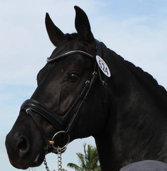 92 - Sancerre face model