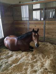 Cozy Demitra - Florida March 2016