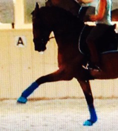 Demitra April 2016 (2)