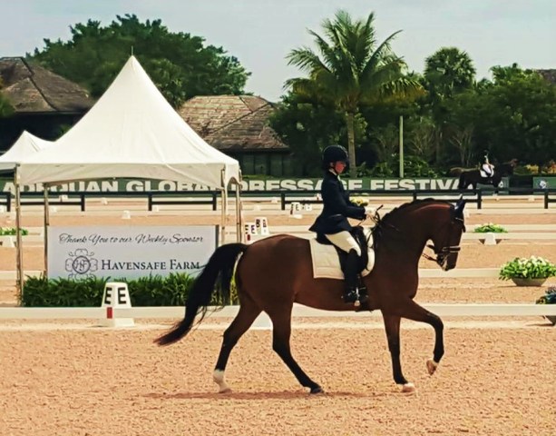 Finley Canter by Shawneen - Florida 2016 (2)