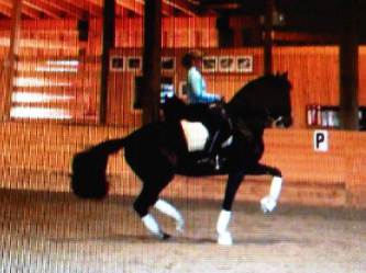 IMG01732-20121019-2047