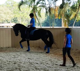 Janine coaching Shawneen on Ebony 2016