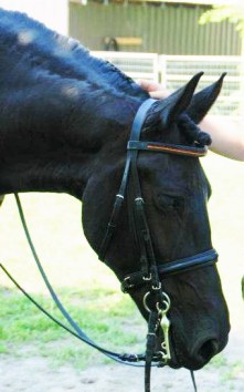 Larisa and Sexi at Vernon (2)