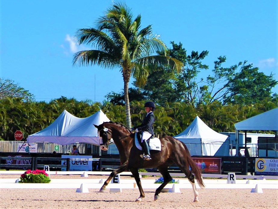 Bono trot Florida by Jo.jpg