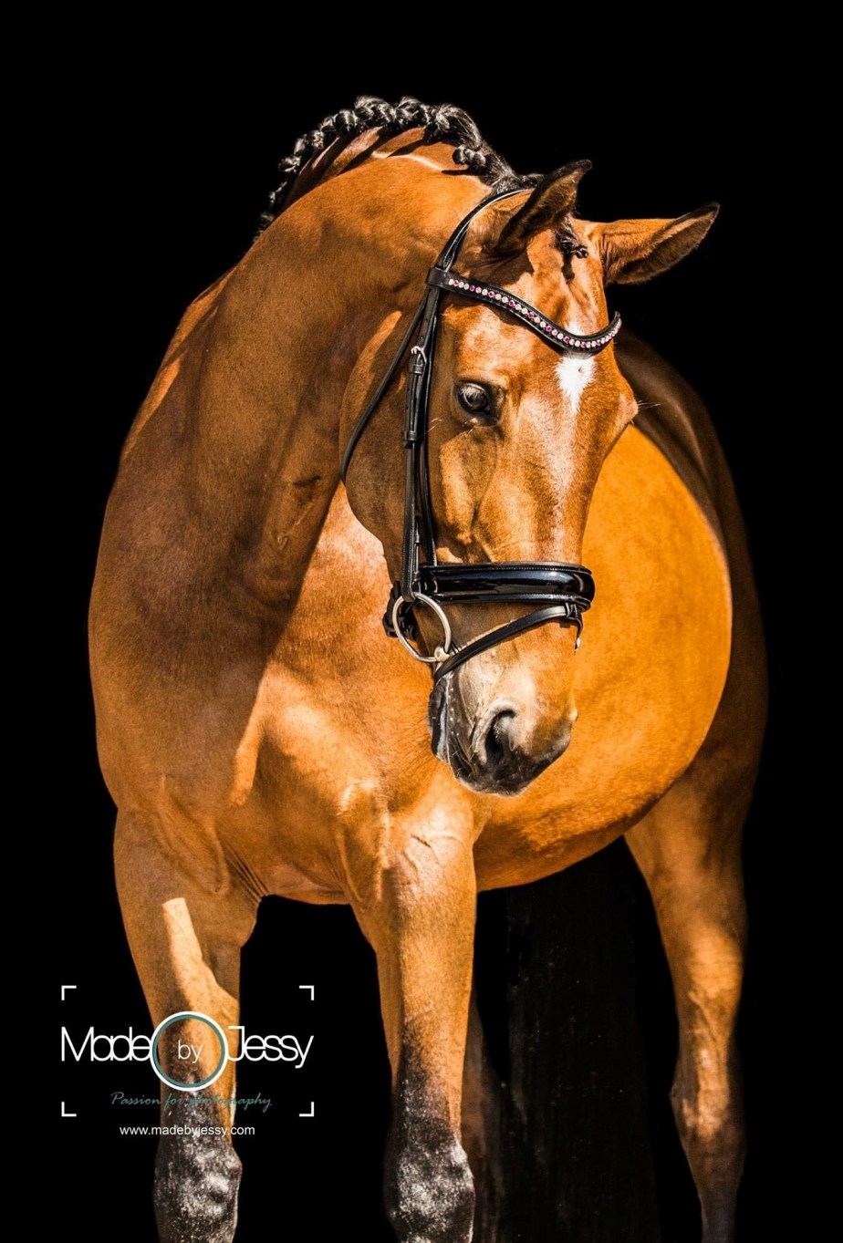 D portrait by Jessica.jpg