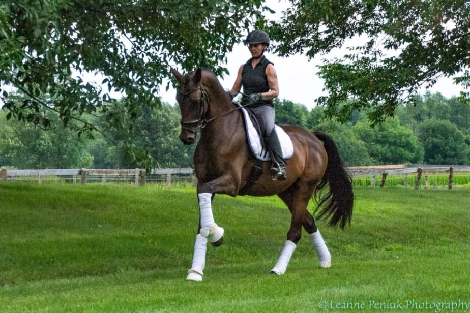 Hendrix canter - Leanne 2018.jpg