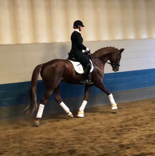 Shanoon and Solaris trot.jpg